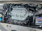 2005 Honda Odyssey EXL