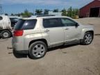 2010 GMC Terrain SLT