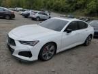 2023 Acura TLX Type S