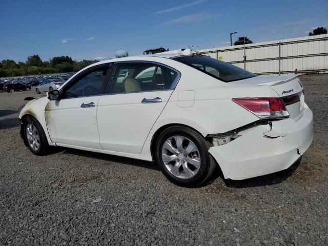 2010 Honda Accord LX