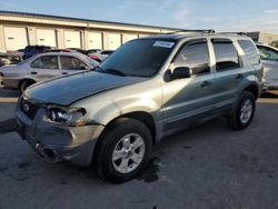 Salvage cars for sale at Louisville, KY auction: 2005 Ford Escape XLT