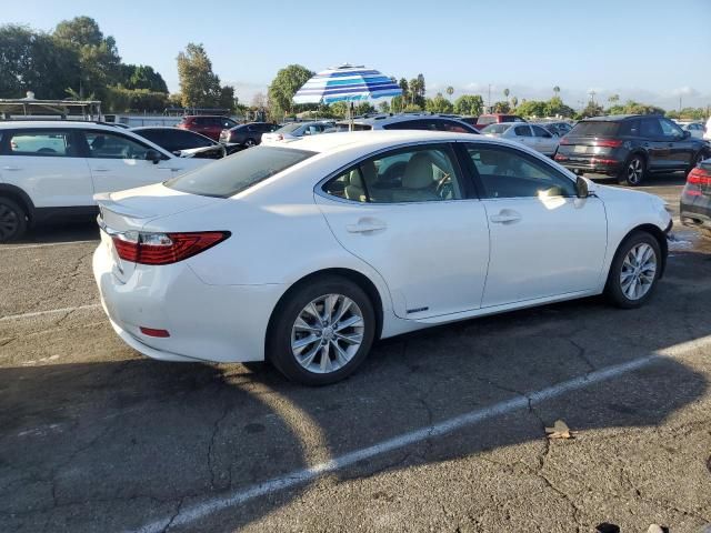 2014 Lexus ES 300H