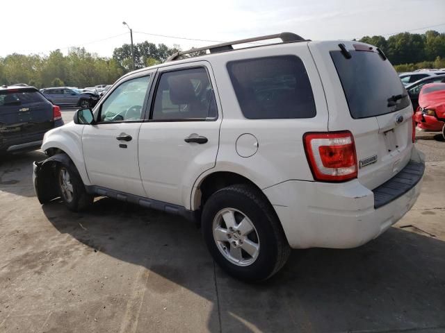 2011 Ford Escape XLT