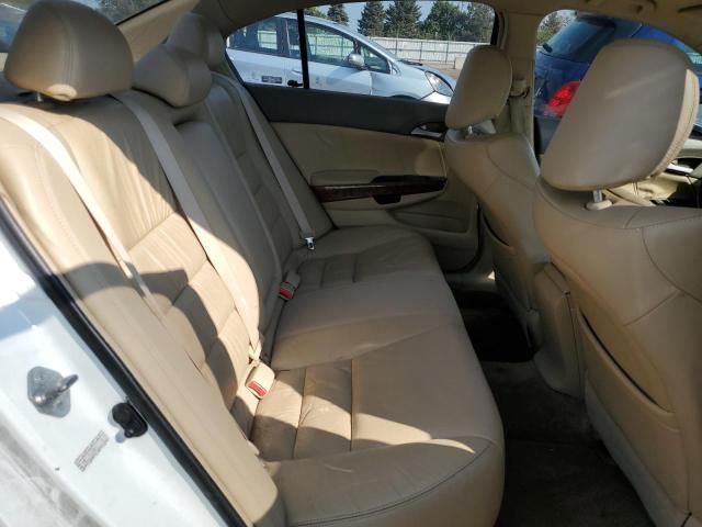 2008 Honda Accord EXL