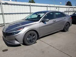 Hyundai Elantra salvage cars for sale: 2023 Hyundai Elantra Blue