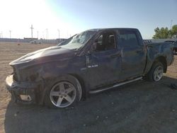 Salvage trucks for sale at Greenwood, NE auction: 2010 Dodge RAM 1500