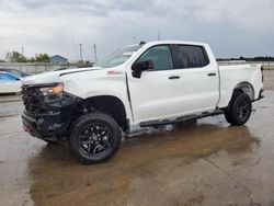 Salvage cars for sale at Lawrenceburg, KY auction: 2024 Chevrolet Silverado K1500 Trail Boss Custom