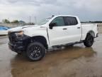 2024 Chevrolet Silverado K1500 Trail Boss Custom