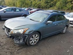 Honda salvage cars for sale: 2008 Honda Accord EXL