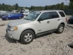 2008 Ford Escape XLT