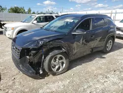 Hyundai Tucson salvage cars for sale: 2024 Hyundai Tucson SEL