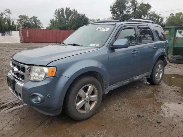 2010 Ford Escape Limited