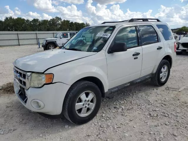 2010 Ford Escape XLT