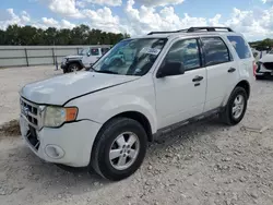 Salvage cars for sale at New Braunfels, TX auction: 2010 Ford Escape XLT