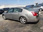 2004 Nissan Maxima SE