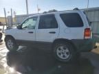 2005 Ford Escape XLT