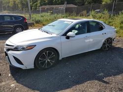 Salvage cars for sale at Baltimore, MD auction: 2020 Toyota Camry SE