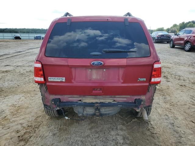 2011 Ford Escape XLT