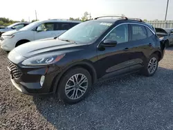 Ford salvage cars for sale: 2020 Ford Escape SEL