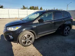 Ford Vehiculos salvage en venta: 2017 Ford Escape SE