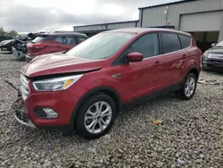 2019 Ford Escape SE en venta en Wayland, MI