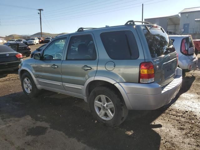 2006 Ford Escape HEV