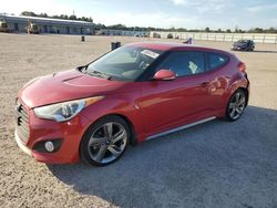 Salvage cars for sale at Harleyville, SC auction: 2013 Hyundai Veloster Turbo