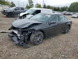 Salvage cars for sale at Lansing, MI auction: 2024 Lexus ES 350 Base