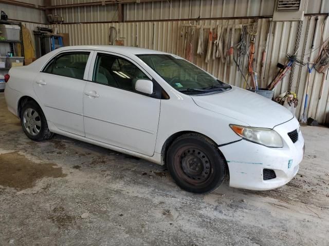 2010 Toyota Corolla Base