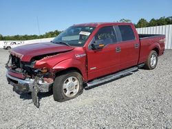 Salvage trucks for sale at Fredericksburg, VA auction: 2013 Ford F150 Supercrew