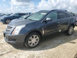 Salvage cars for sale at Arcadia, FL auction: 2010 Cadillac SRX