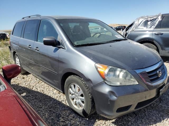 2010 Honda Odyssey EXL