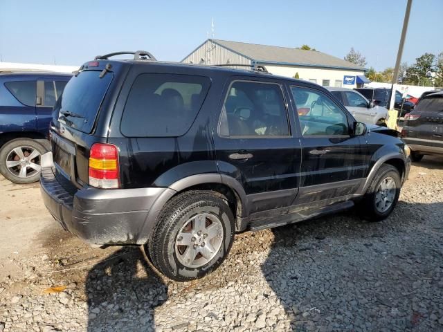 2005 Ford Escape XLT