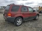 2003 Ford Escape XLT