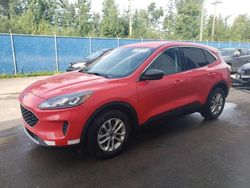 Salvage cars for sale at Moncton, NB auction: 2022 Ford Escape SE