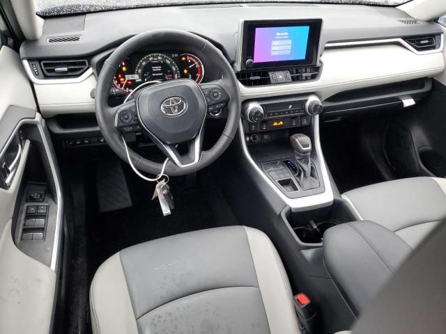 2024 Toyota Rav4 XLE Premium