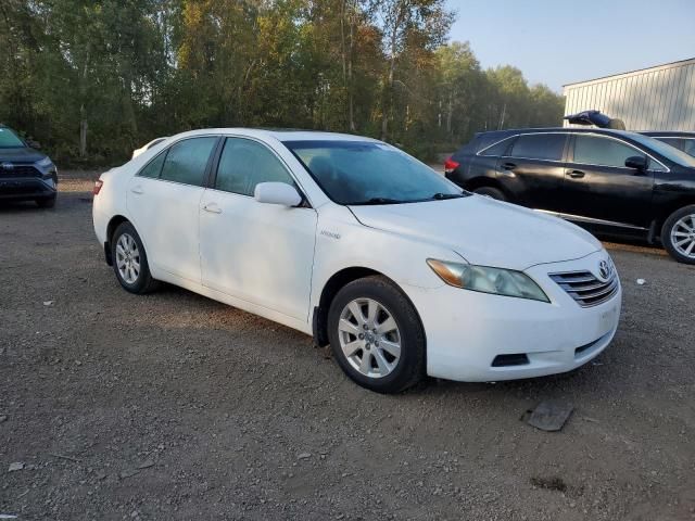 2009 Toyota Camry Hybrid