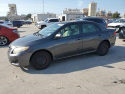 Toyota salvage cars for sale: 2010 Toyota Corolla Base