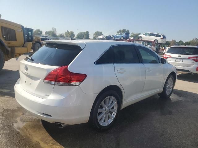 2010 Toyota Venza