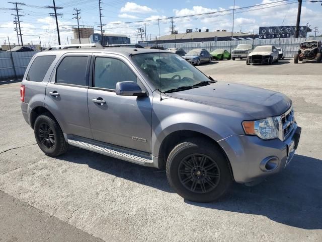 2008 Ford Escape HEV