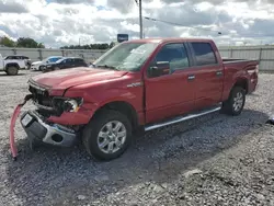 Ford salvage cars for sale: 2013 Ford F150 Supercrew