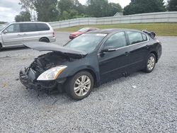 Nissan Vehiculos salvage en venta: 2010 Nissan Altima Base