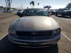 2005 Ford Mustang