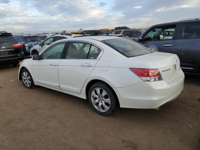 2008 Honda Accord EXL