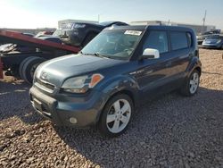 Salvage cars for sale at Phoenix, AZ auction: 2010 KIA Soul +