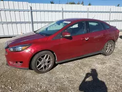 Ford salvage cars for sale: 2015 Ford Focus SE