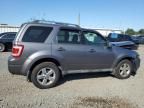 2010 Ford Escape Limited