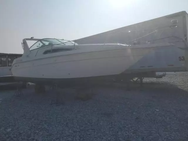 1991 Sea Ray Boat