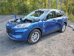 Salvage cars for sale at Cookstown, ON auction: 2022 Ford Escape SE