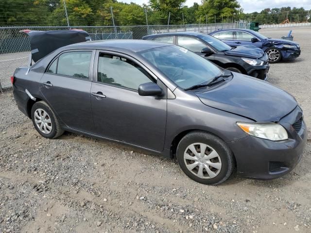 2009 Toyota Corolla Base